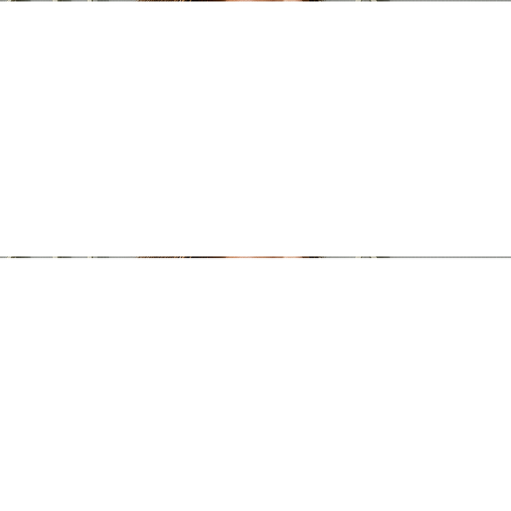 Damen-Winterhemd | Mit langen Ärmeln